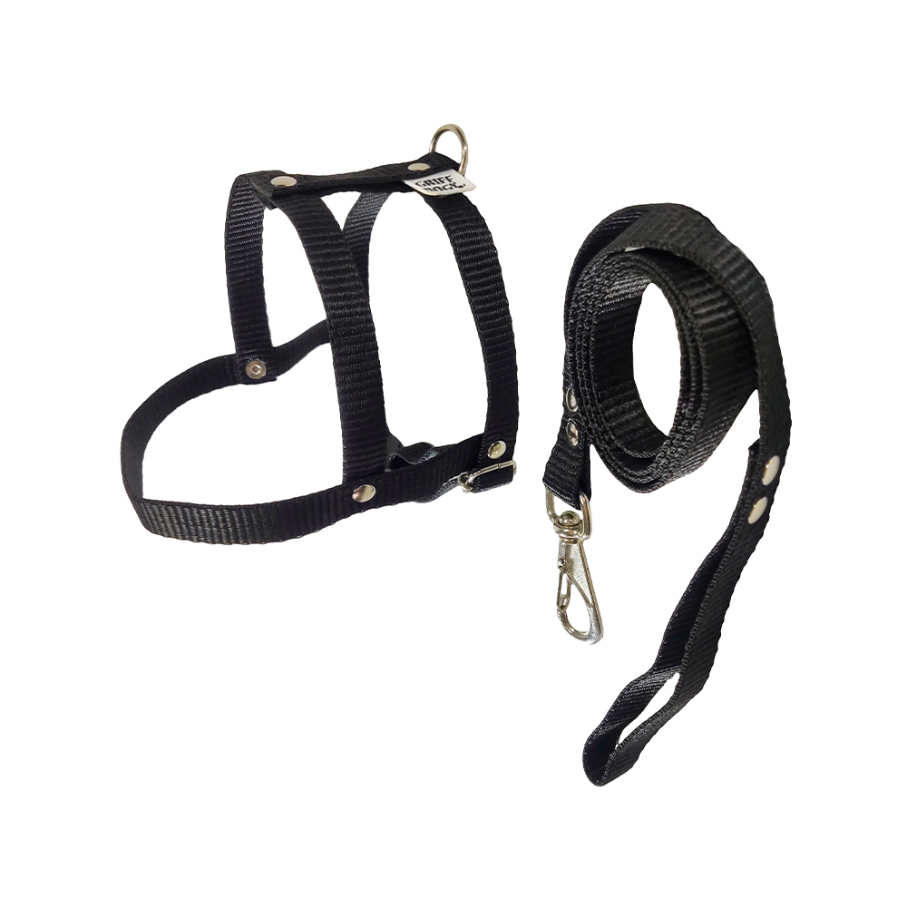 Peitoral com Guia Griff Dog Tradicional Liso para Cães - Cores Sortidas