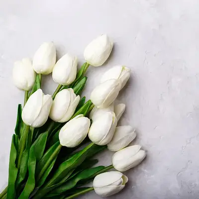 Flores Artificiais - Buquê de Tulipas Brancas